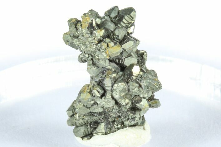 Glistening Marcasite Crystal Stalactite - Linwood Mine, Iowa #372106